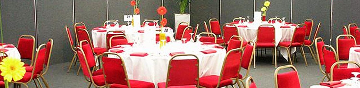 Banqueting and Conference chair